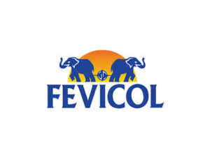 Fevicol